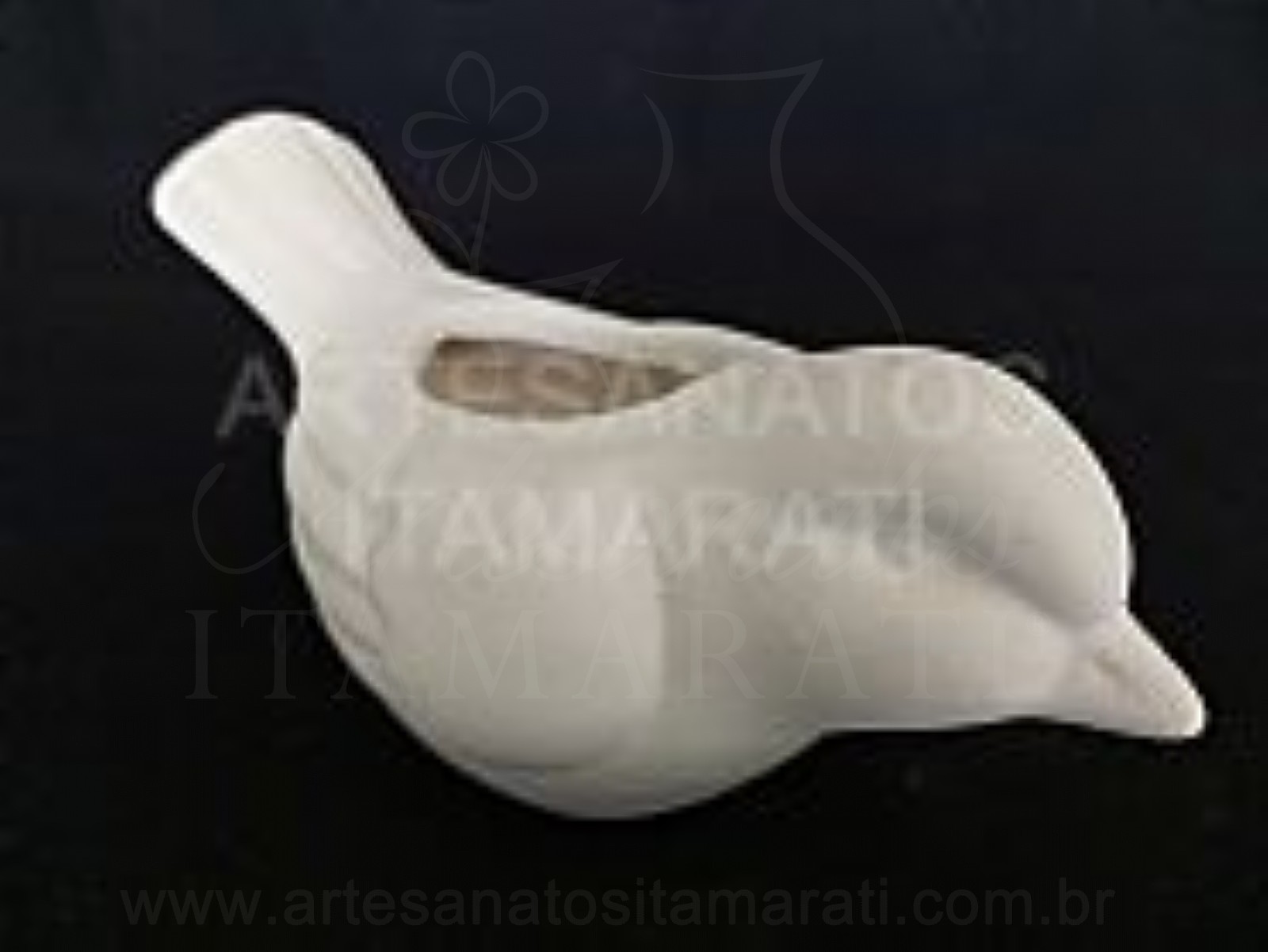 Passarinho Suculenta